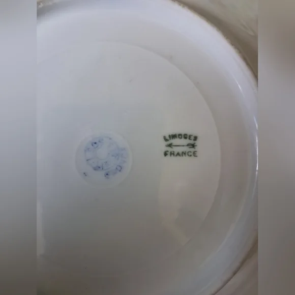 Antique 1880s Limoges French Porcelain Dessert Set of 4 Plates in Floral Motif - Picture 3 of 10